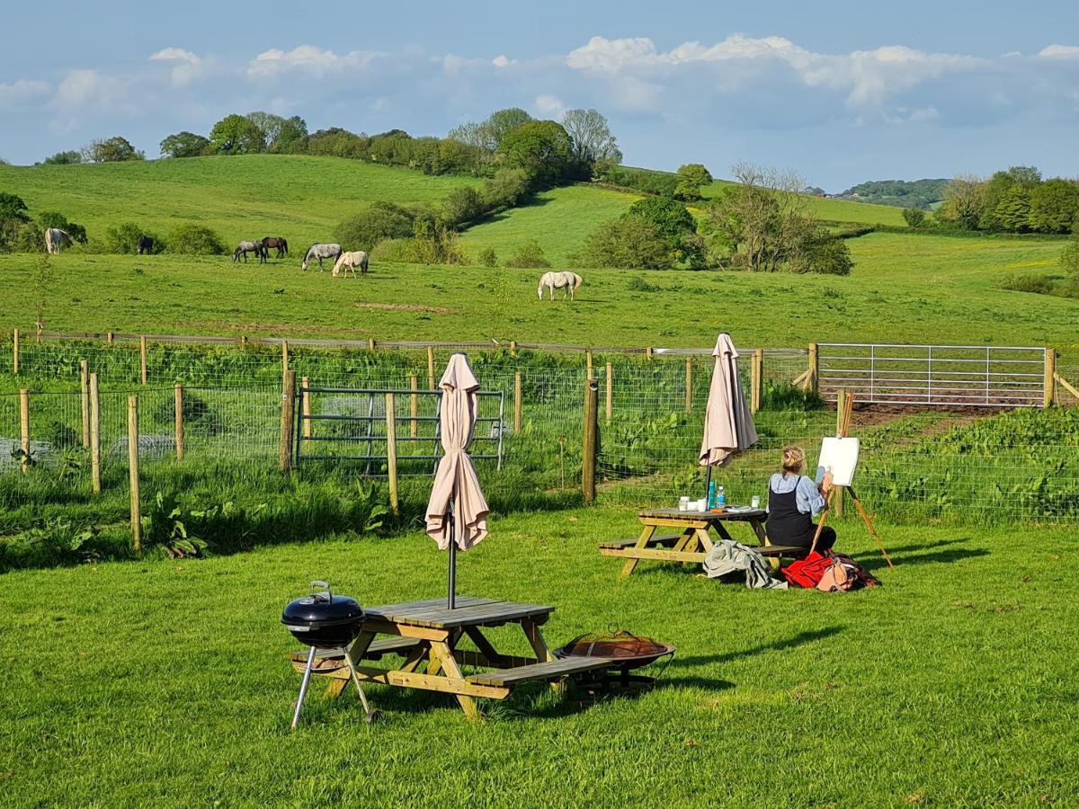 Knapp Farm Glamping Lodge 2 Corscombe Eksteriør billede